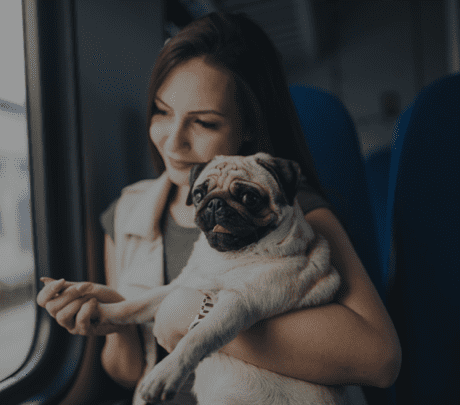 Transport of animals | Malpensa Express